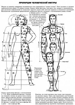 Идеальные пропорции тела